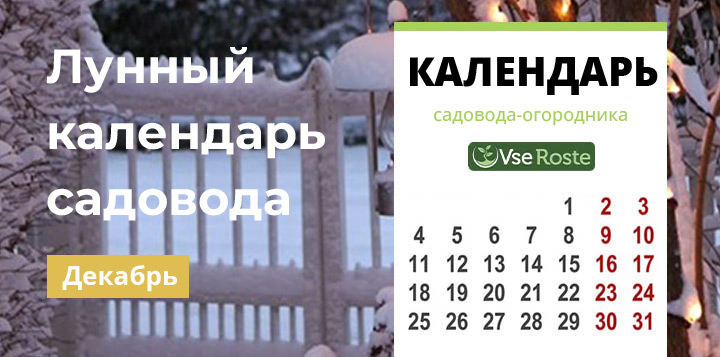 Лунный календарь садовода-огородника на декабрь 2022 года