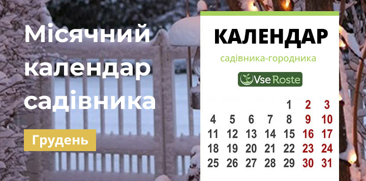 Місячний календар садівника-городника на грудень 2022 року