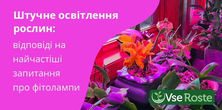 Штучне освітлення рослин: відповіді на найчастіші питання про фітолампи