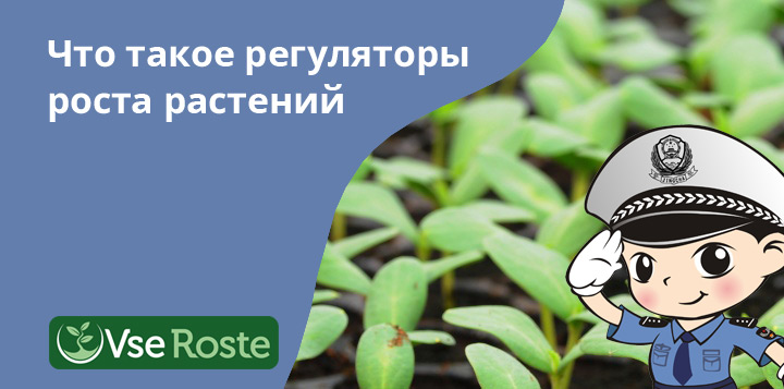 Что такое регуляторы роста растений