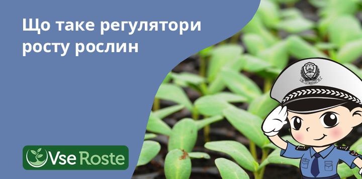Що таке регулятори росту рослин