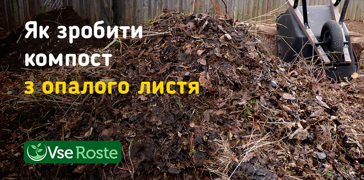Як зробити компост з опалого листя
