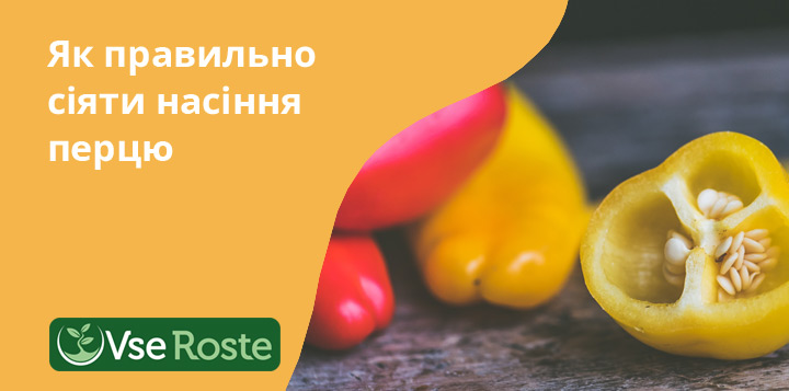 Як правильно сіяти насіння перцю