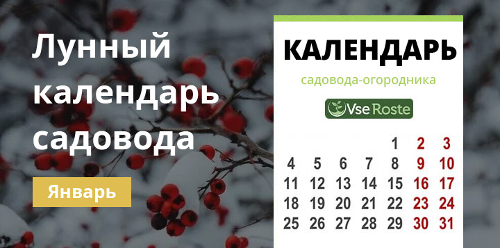 Лунный календарь садовода-огородника на январь 2023 года