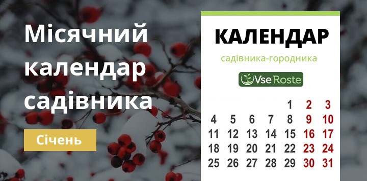 Місячний календар садівника-городника на січень 2023 року