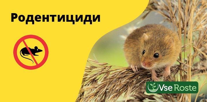 Родентициди