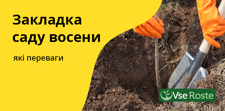 Закладка саду восени: які переваги