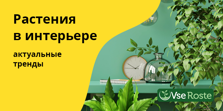 Растения в интерьере: актуальные тренды