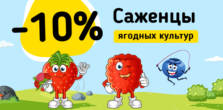 Саженцы ягодных культур -10%