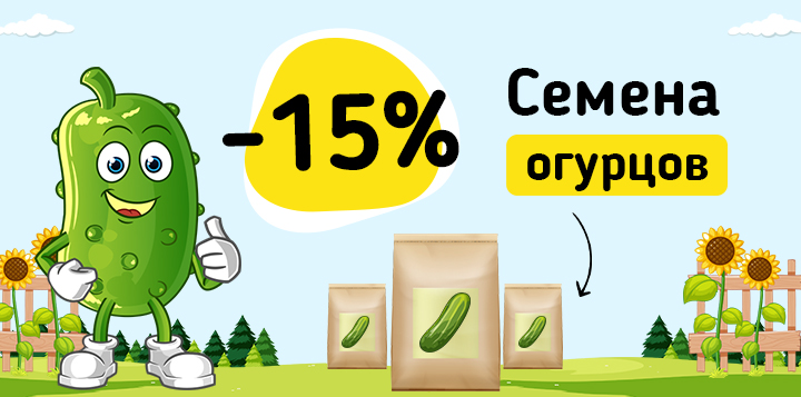 Семена огурцов -15%