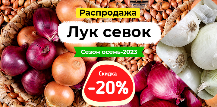 -20% на лук севок