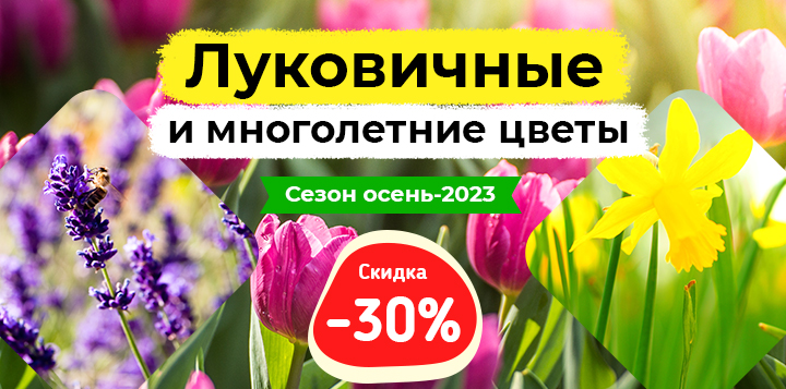 -30% на луковичные и многолетние цветы