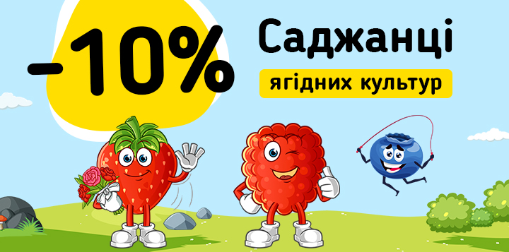 Саджанці ягідних культур -10%