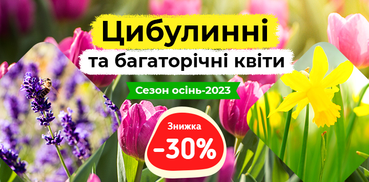 -30% на цибулинні та багаторічні квіти