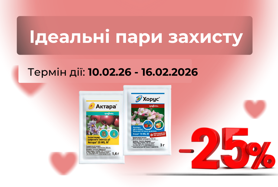 День Закоханих