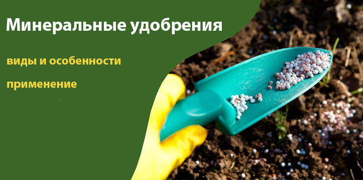 Минеральные удобрения: виды и особенности применения