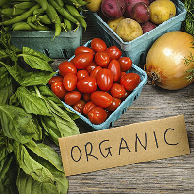 Органические семена іконка