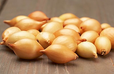 лук Коррадо