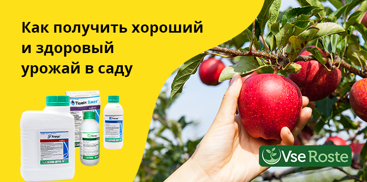 Как получить хороший и здоровый урожай в саду