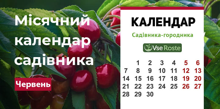 Місячний календар садівника - Червень 2021