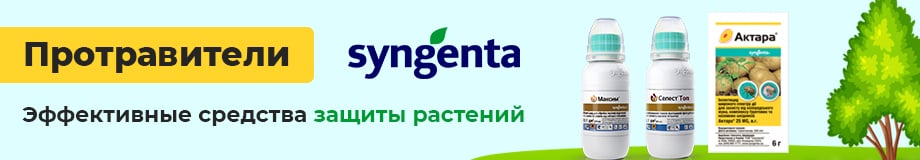 syngenta - протруйники