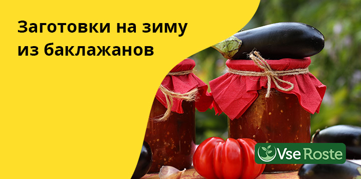 Заготовки на зиму из баклажанов