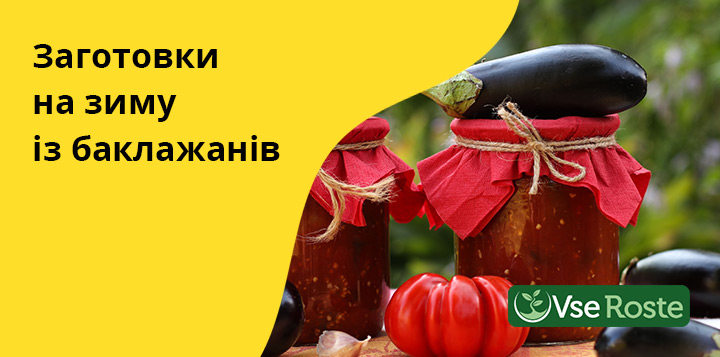 Заготовки на зиму з баклажанів