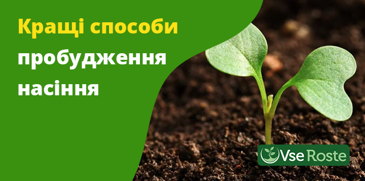 Кращі способи пробудження насіння