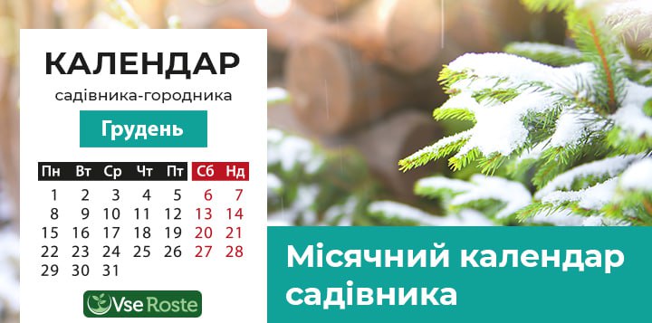 Лунный посевной календарь садовода-огородника на декабрь 2025 года