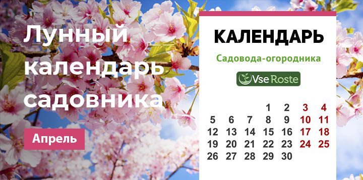 Лунный календарь садовода - апрель 2021