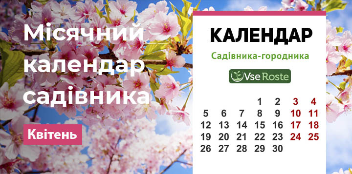 Місячний календар садівника - Квітень 2021
