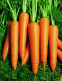 Морковь Вита Лонга, 1г, Садыба Центр 1
