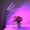 Фітолампа для рослин FITOLAMP, 3 LED 0