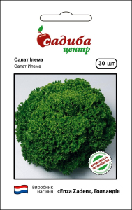 Салат Ілема 30 нас, Садиба Центр