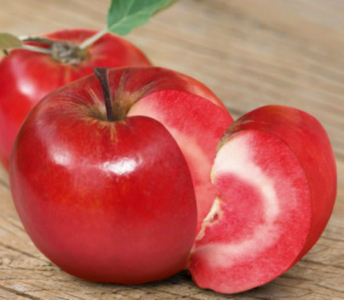 Яблуня червоном'яса Сирена