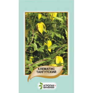 Клематис тангутский, желтый 20 шт, Агропакгруп