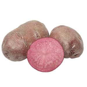 Картопля насіннева Хортиця 1 кг