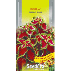 Колеус Визард Роуз, 10 шт, Seedera