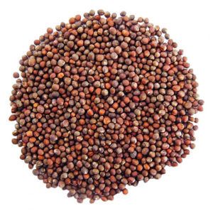 Гірчиця чорна насіння, 1 кг, Україна