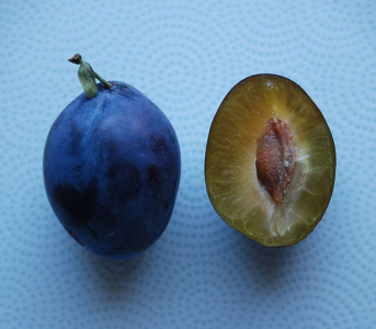 Слива Емпресс