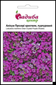 Алиссум Прозрачные кристаллы, пурпурный, 50 гран Садиба Центр