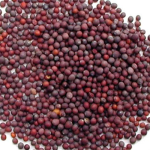 Гірчиця чорна, 10 кг, Україна