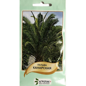 Пальма Канарская 5 шт, Агропакгруп