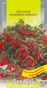 Бегония болив. Копакабана красная F1, 5 шт. Seedera