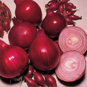 Цибуля - сіянка (саджанка) Ред Барон 10 кг