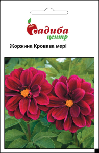 Жоржина Кровава Мері, 0,1 г, Садиба Центр