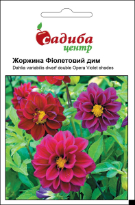 Жоржина Фіолетовий дим, 0,1 г, Садиба Центр