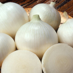 Цибуля - сіянка (саджанка) Стардаст 0,5 кг