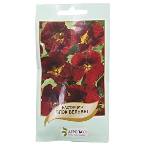 Настурція Блек Вельвет, 2 г, Агропакгруп