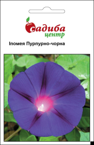Ипомея Пурпурно-черная, 0,5 г Садиба Центр